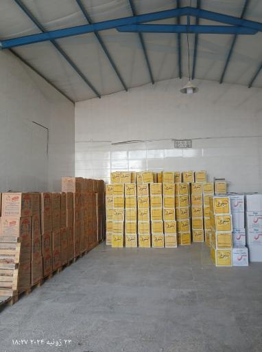 عکس پخش تخم مرغ روز و سیمرغ اطمینان