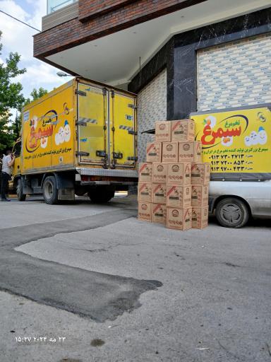 عکس پخش تخم مرغ روز و سیمرغ اطمینان