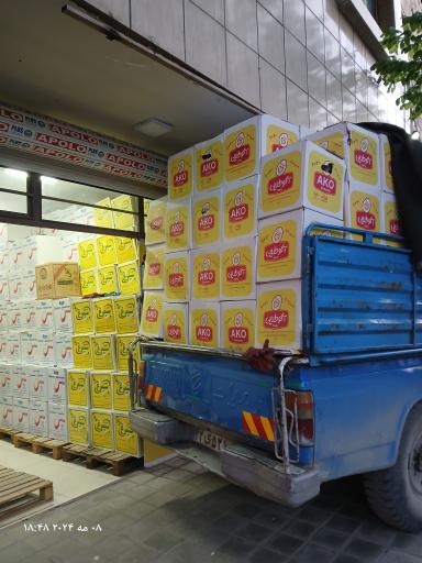 عکس پخش تخم مرغ روز و سیمرغ اطمینان