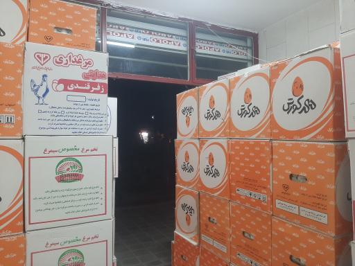 عکس پخش تخم مرغ روز و سیمرغ اطمینان