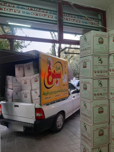 عکس پخش تخم مرغ روز و سیمرغ اطمینان