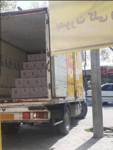 عکس پخش تخم مرغ روز و سیمرغ اطمینان