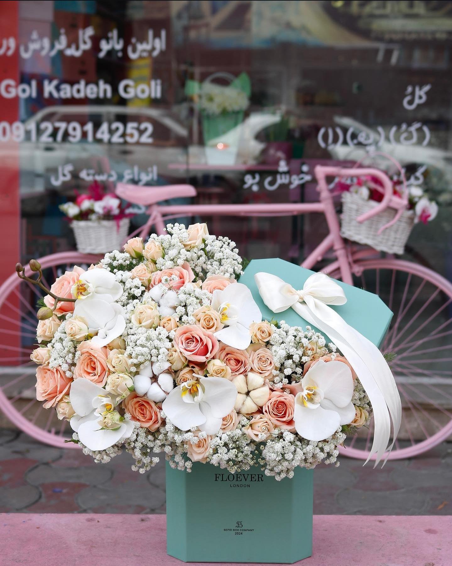 عکس گلکده گلی