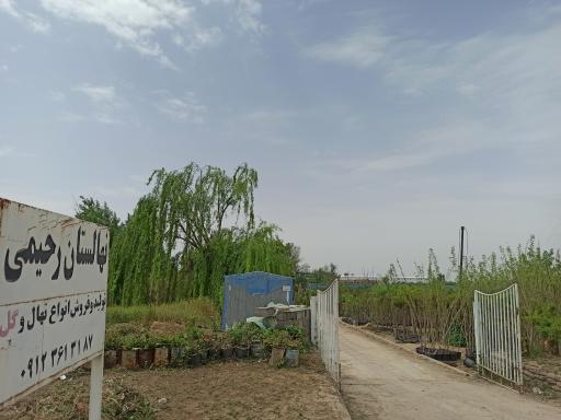 عکس نهالستان رحیمی