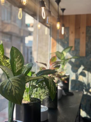 عکس کافه پین