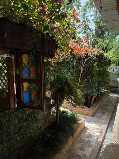 عکس کافه کوشال