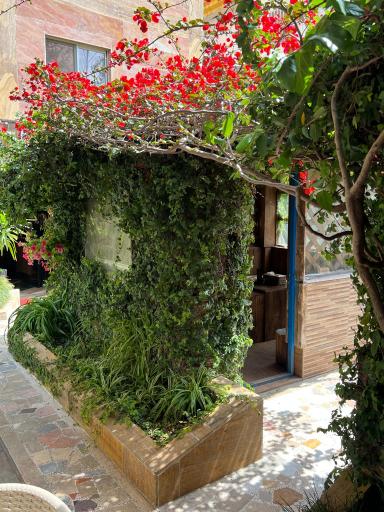 عکس کافه کوشال