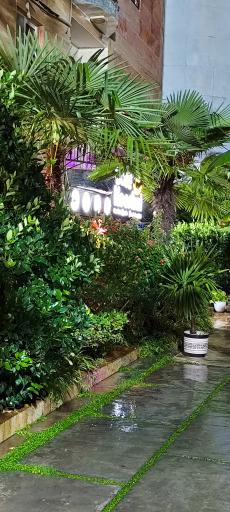 عکس کافه کوشال