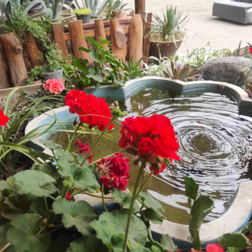 عکس کافه کتاب بهشت