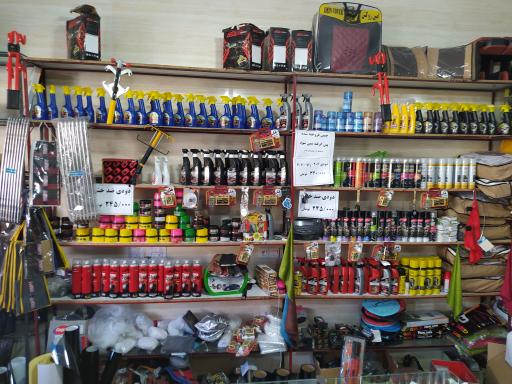 عکس تزئینات اتومبیل بهروز