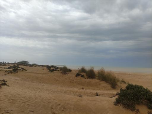 عکس ساحل جزیره جنوبی