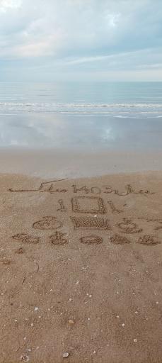 عکس ساحل جزیره جنوبی