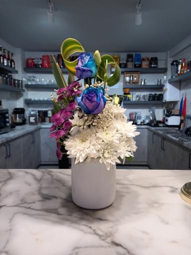 عکس کافه سنترال 