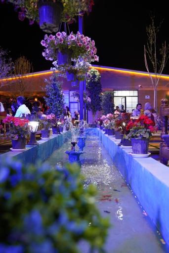 عکس باغ رستوران شاهان