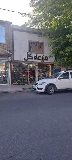 عکس مزرعه گل