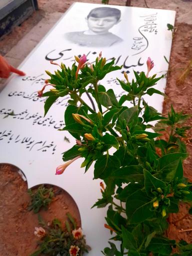 عکس بلوک ۷۰