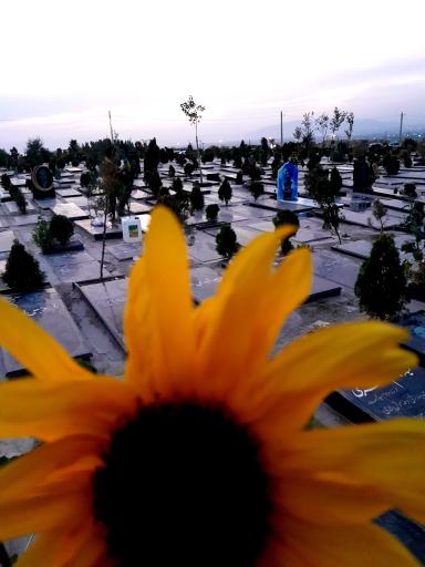 عکس بلوک ۷۰