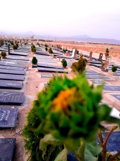 عکس بلوک ۷۰