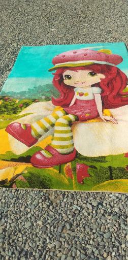 عکس قالیشویی شریفی