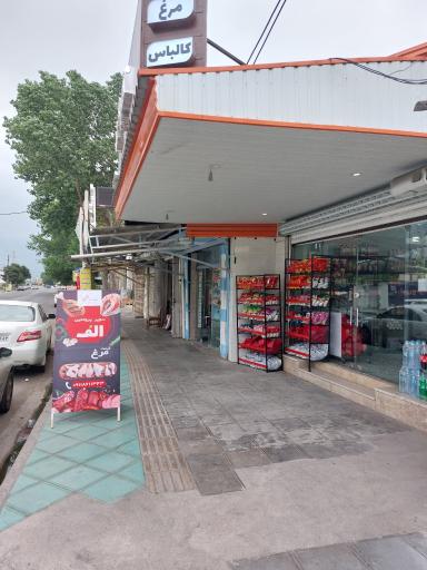 عکس فروشگاه الف پروتئین