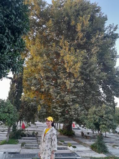 عکس گلزار شهدای امامزاده ابراهیم بابلسر