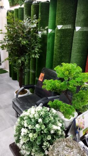 عکس خانه چمن بابل