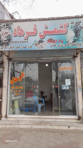 عکس کشمش فرهاد