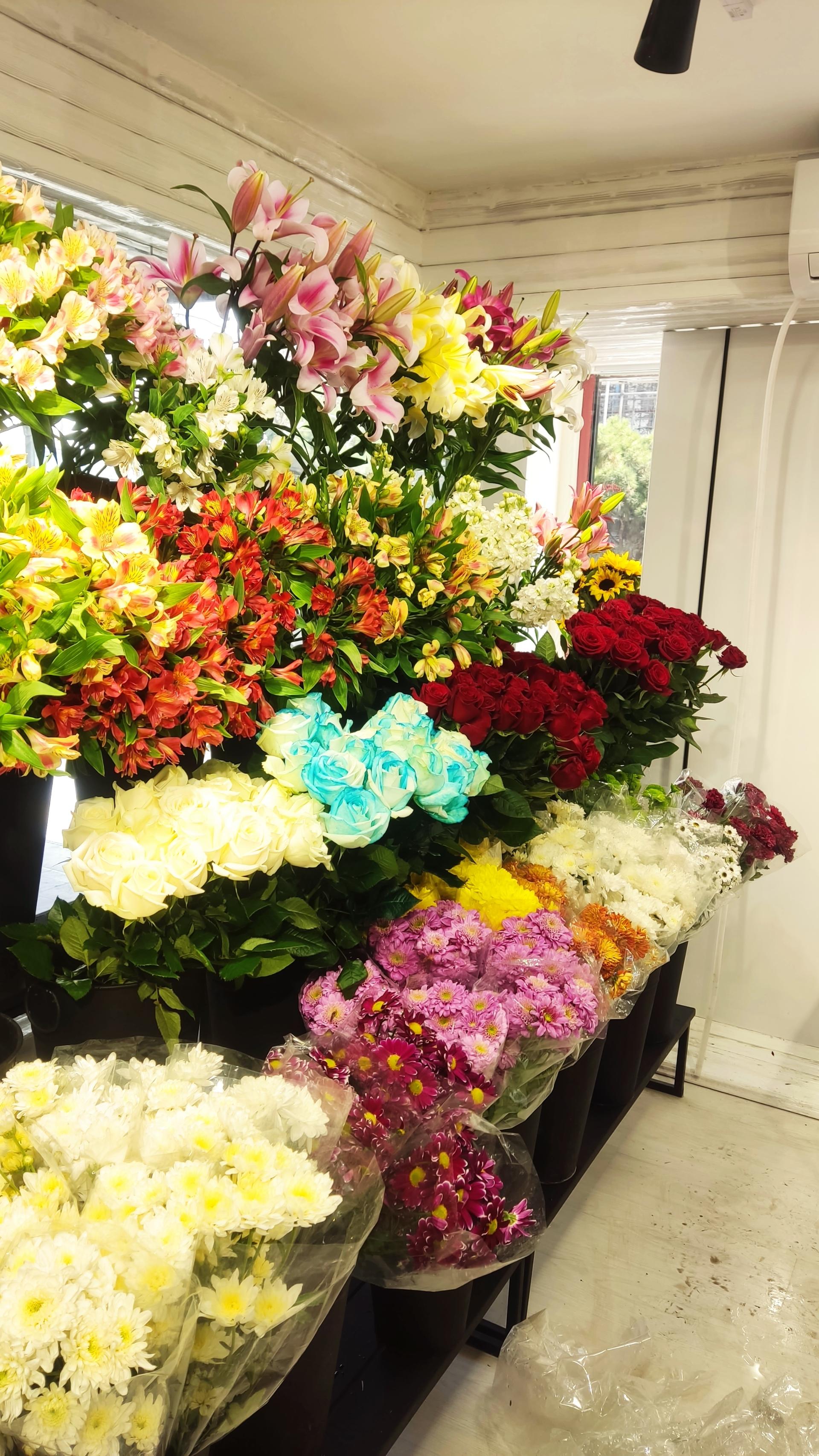 عکس گل فروشی مگنولیا 