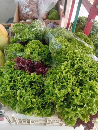 عکس سوپر میوه طلائیه 
