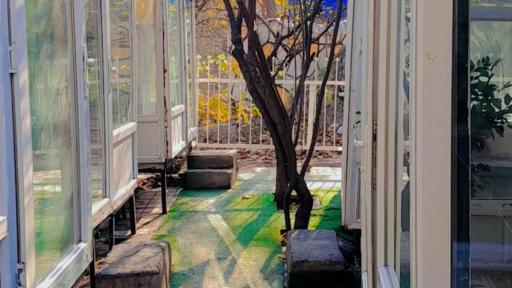 عکس باغ رستوران هما