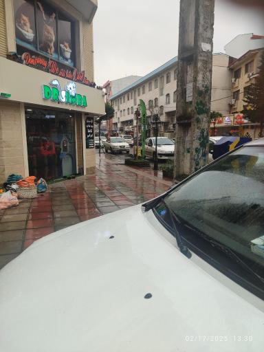 عکس پت شاپ سیمبا