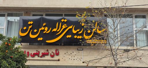 عکس سالن زیبایی غزاله رویین تن