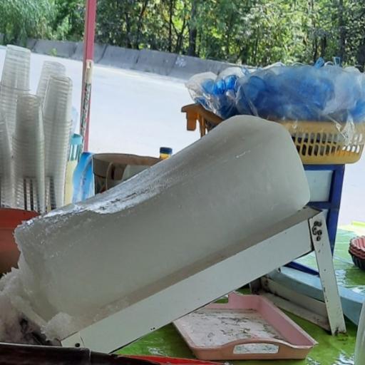 عکس یخ در بهشت فرزاد 