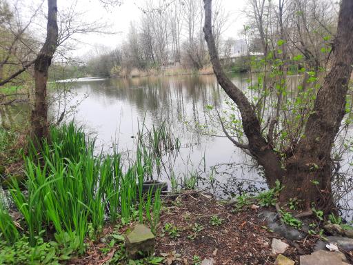 عکس ویلا استخردار فلاح