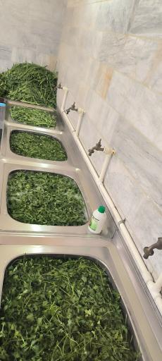 عکس سبزی فروشی حضرتی 