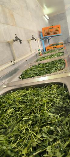 عکس سبزی فروشی حضرتی 