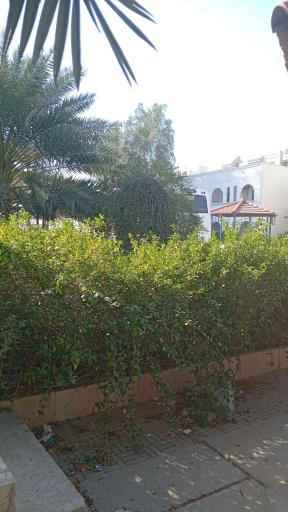 عکس هتل المپیک قشم