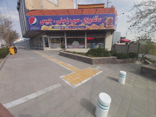 عکس سیب زمینی مش دونالد