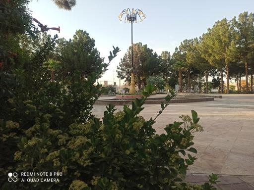 عکس میدان آزادی