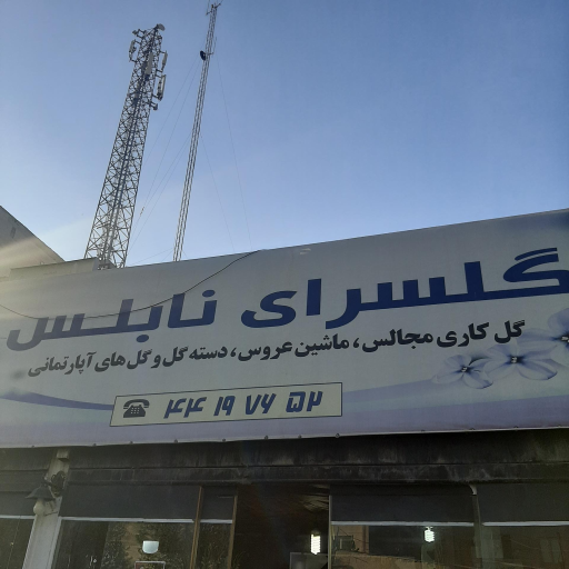 عکس گل فروشی نابلس