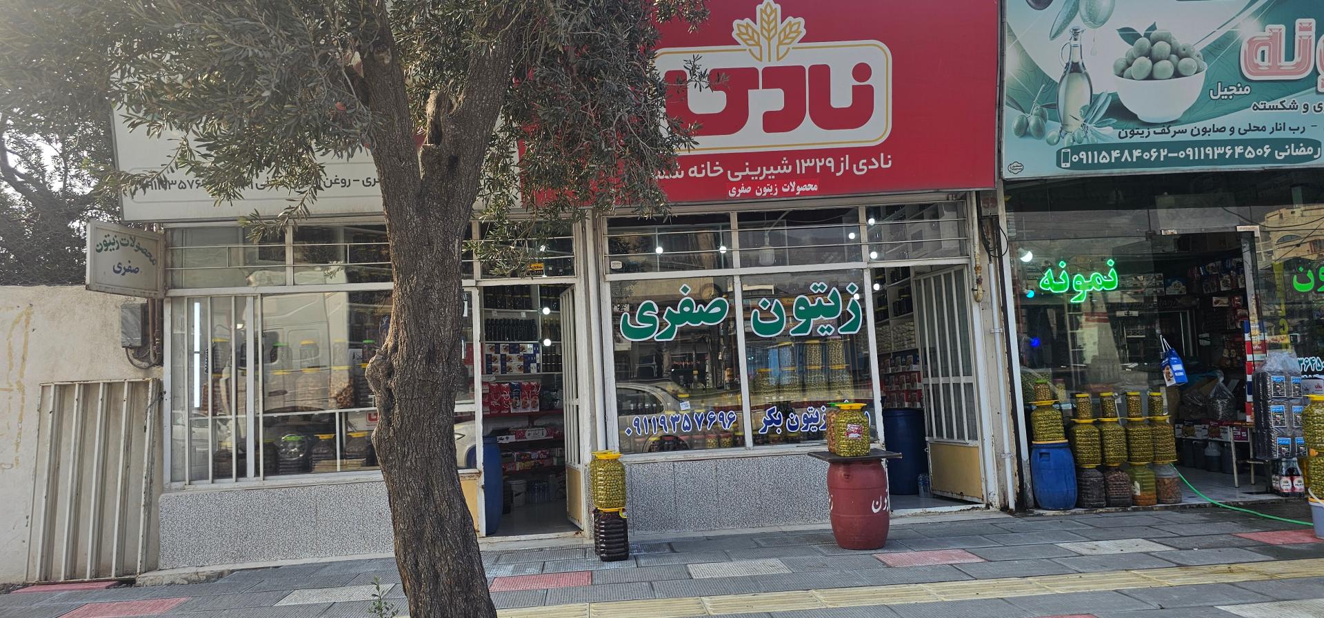 عکس زیتون صفری