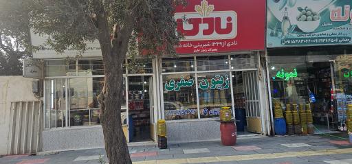 عکس زیتون صفری