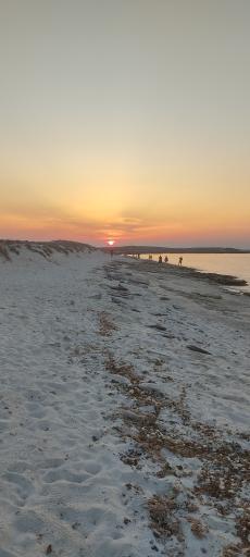 عکس جزیره شیدور (مارو)