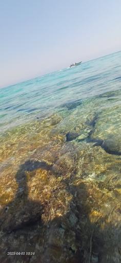 عکس جزیره شیدور (مارو)