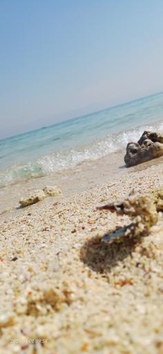 عکس جزیره شیدور (مارو)