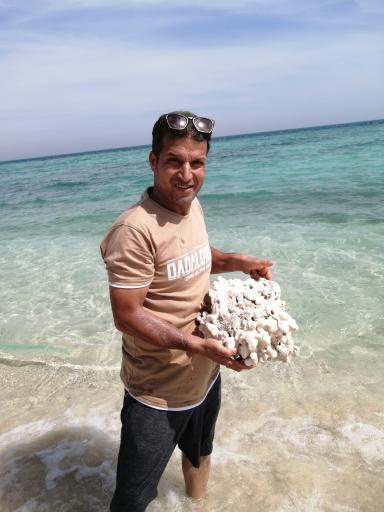 عکس جزیره شیدور (مارو)