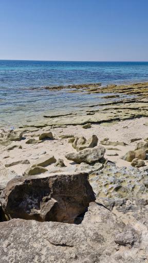 عکس جزیره شیدور (مارو)