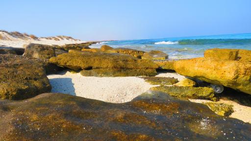 عکس جزیره شیدور (مارو)