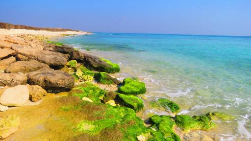 عکس جزیره شیدور (مارو)