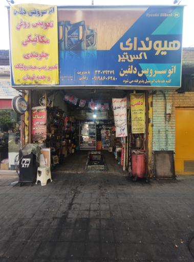 اتو سرویس دلفین